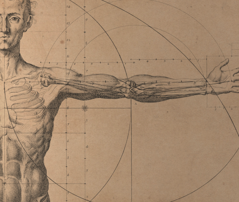Per una ricerca dell’equilibrio