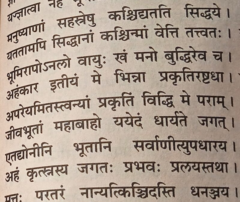 Bhagavadgītā: su karmayoga