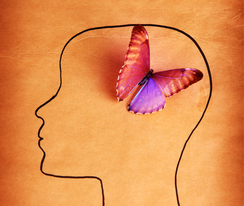 Anatomia della gentilezza – in presenza e online